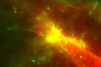 Биохимическая транспортная система Биохимическая транспортная система