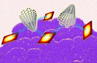 Спазеры Спазеры