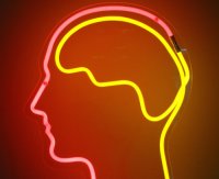 Мозг человека Мозг человека