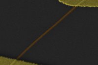 Мемристор Мемристор