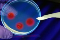 Генетическая информация Генетическая информация