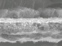 Пористый графен Пористый графен