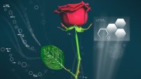 Растение с электронной схемой Растение с электронной схемой