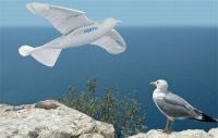 - SmartBird  Festo