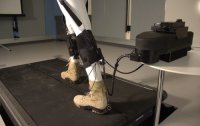 Эластичный экзоскелет Эластичный экзоскелет