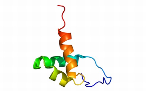 Ген NCoR1