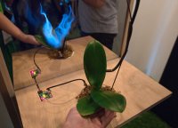 Технология Botanicus Interacticus Технология Botanicus Interacticus