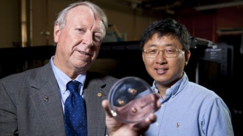 Зображення