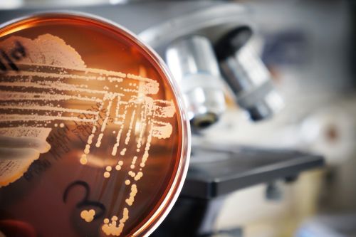 Генетический материал Генетический материал