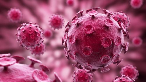 Вирусы Вирусы