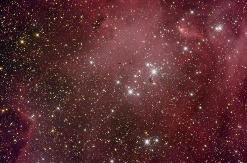 ���������� IC 2944 � ��������� �������� �����