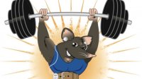 Спортивные упражнения Спортивные упражнения
