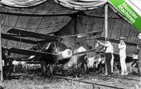 ����������� Kettering Bug