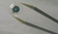 ���������� ����� iOptik