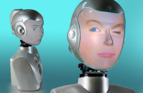 ����� SociBot-Mini