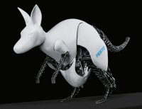 ����� BionicKangaroo