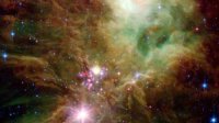 ���������� NGC 2264