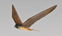 Робот Robirds Робот Robirds