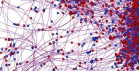 Сеть статистического анализа Сеть статистического анализа