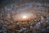 Галактика NGC 3521 Галактика NGC 3521