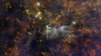 ������� Vulpecula OB1