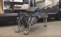�����-������ PneuHound