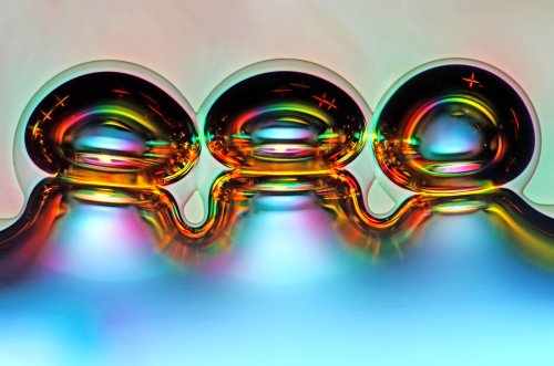 6 �����. Nikon Small World 2016
