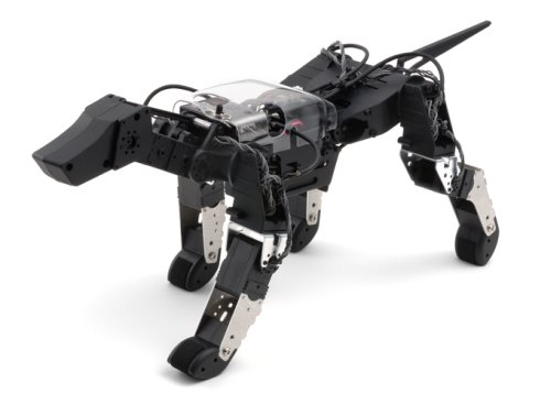 �����-������ G-Dog #3