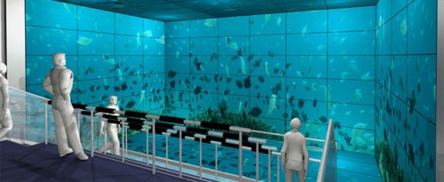 ������� Sharp Fantasy Room