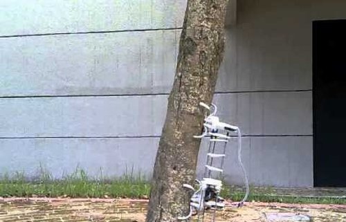 ����� Treebot