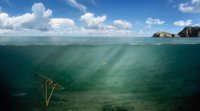 Генератор Deep Green Генератор Deep Green