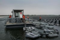 Плавающая солнечная электростанция Sungrow Плавающая солнечная электростанция Sungrow