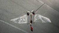 DelFly Micro DelFly Micro