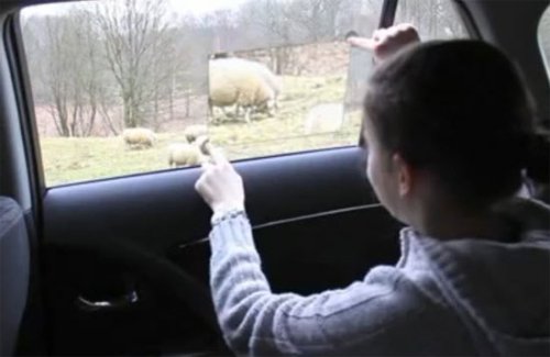 ������� Windows to the World