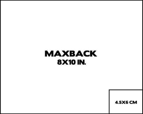 Сравнение разрешения сенсоров Maxback и DSLR