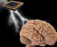���������� Brain Computer Interface