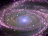 ����� ������������� ��������� M81