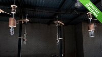���������� Gravity Harp