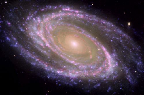 ��������� M81
