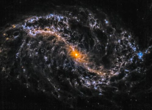 Галактика NGC 7496 - James Webb