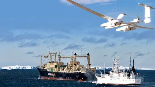 ����� ����������� Sea Shepherd