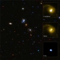 ��������� CID-42
