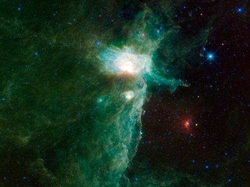 ���������� NGC 2024