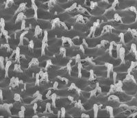 ���� �� ����� - People on the Beach