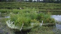 ������������� ��������� ������ BioHaven