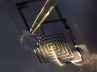 Растворимая электронная схема Растворимая электронная схема