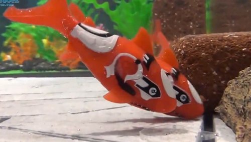 �����-������ Robofish #2