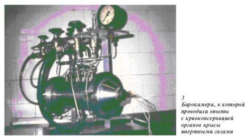 Барокамера криоконсервации Барокамера криоконсервации