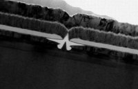 MOSFET-���������� �� �������� ������-�������