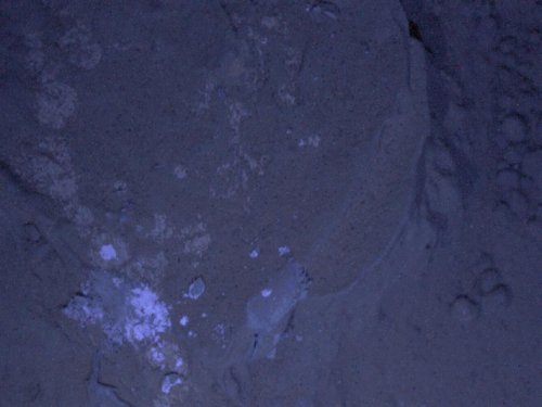 Снимок камеры MAHLI марсохода Curiosity #2 Снимок камеры MAHLI марсохода Curiosity #2